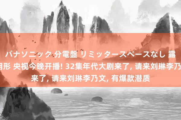 パナソニック 分電盤 リミッタースペースなし 露出・半埋込両用形 央视今晚开播! 32集年代大剧来了， 请来刘琳李乃文， 有爆款潜质