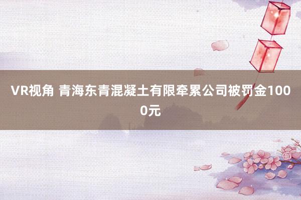 VR视角 青海东青混凝土有限牵累公司被罚金1000元