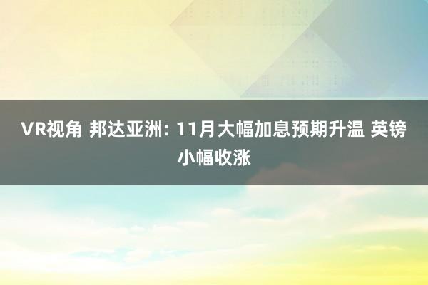 VR视角 邦达亚洲: 11月大幅加息预期升温 英镑小幅收涨