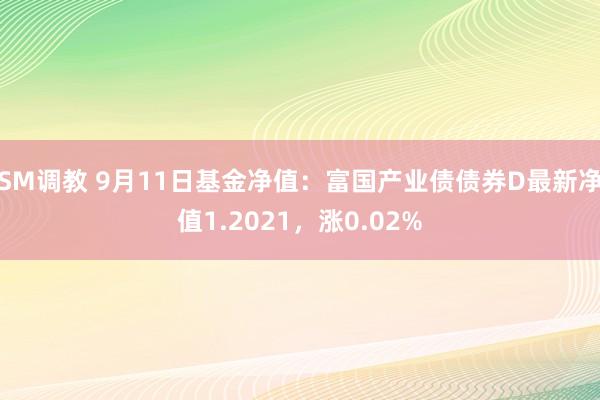 SM调教 9月11日基金净值：富国产业债债券D最新净值1.2021，涨0.02%