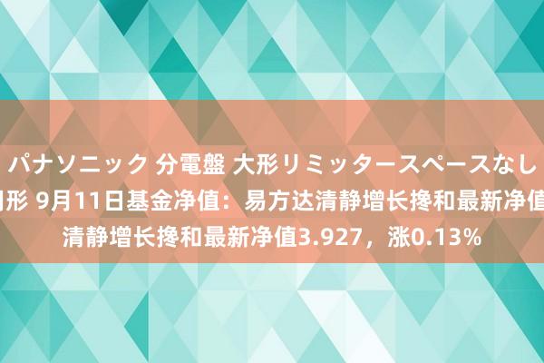 パナソニック 分電盤 大形リミッタースペースなし 露出・半埋込両用形 9月11日基金净值：易方达清静增长搀和最新净值3.927，涨0.13%