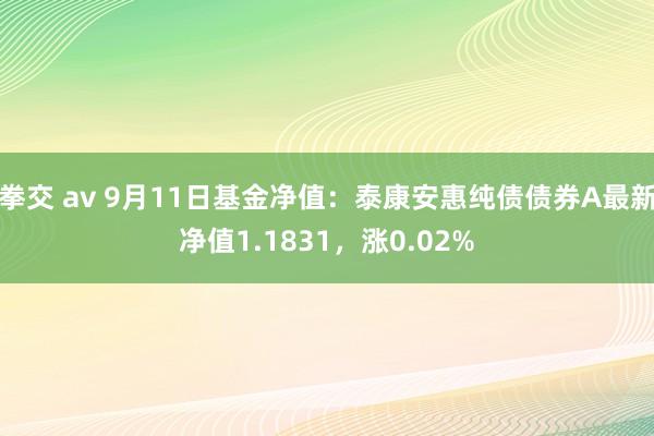 拳交 av 9月11日基金净值：泰康安惠纯债债券A最新净值1.1831，涨0.02%