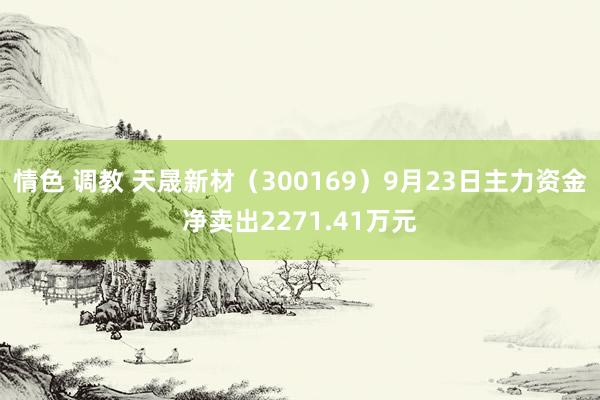 情色 调教 天晟新材（300169）9月23日主力资金净卖出2271.41万元