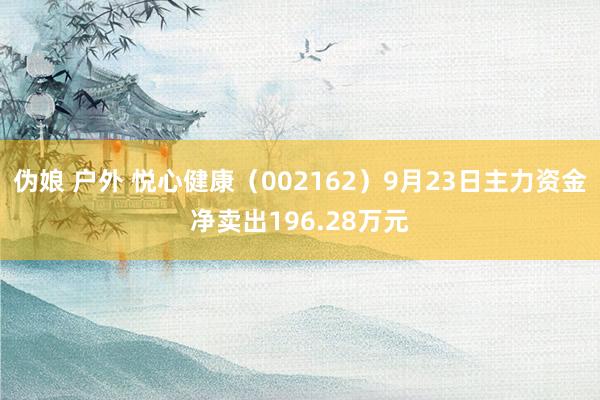 伪娘 户外 悦心健康（002162）9月23日主力资金净卖出196.28万元