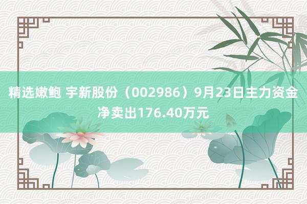 精选嫩鲍 宇新股份（002986）9月23日主力资金净卖出176.40万元