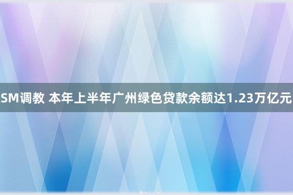 SM调教 本年上半年广州绿色贷款余额达1.23万亿元