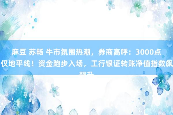 麻豆 苏畅 牛市氛围热潮，券商高呼：3000点仅仅地平线！资金跑步入场，工行银证转账净值指数飙升