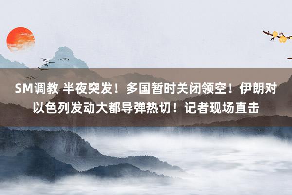 SM调教 半夜突发！多国暂时关闭领空！伊朗对以色列发动大都导弹热切！记者现场直击