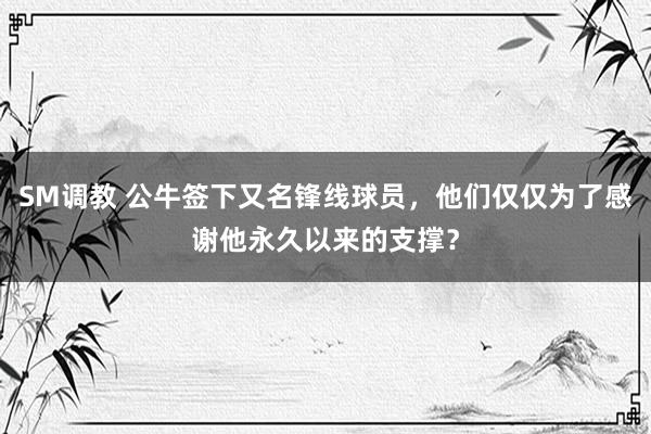 SM调教 公牛签下又名锋线球员，他们仅仅为了感谢他永久以来的支撑？