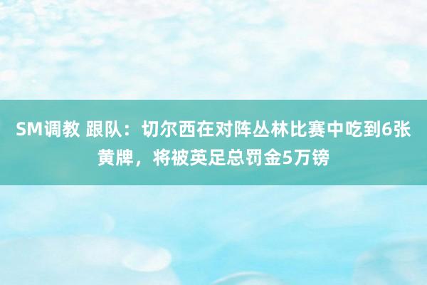 SM调教 跟队：切尔西在对阵丛林比赛中吃到6张黄牌，将被英足总罚金5万镑