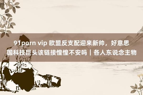 91porn vip 欧盟反支配迎来新帅，好意思国科技巨头该链接惶惶不安吗｜各人东说念主物