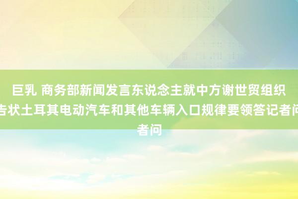 巨乳 商务部新闻发言东说念主就中方谢世贸组织告状土耳其电动汽车和其他车辆入口规律要领答记者问