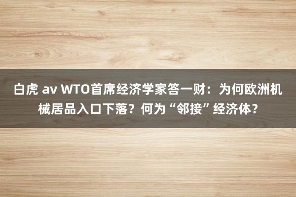 白虎 av WTO首席经济学家答一财：为何欧洲机械居品入口下落？何为“邻接”经济体？