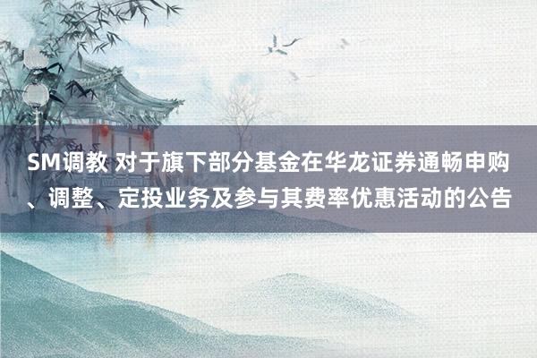 SM调教 对于旗下部分基金在华龙证券通畅申购、调整、定投业务及参与其费率优惠活动的公告