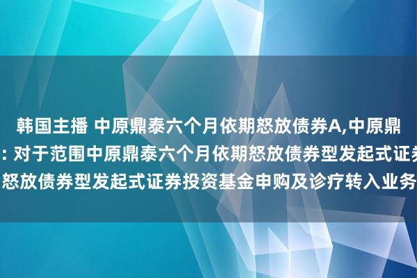 韩国主播 中原鼎泰六个月依期怒放债券A,中原鼎泰六个月依期怒放债券C: 对于范围中原鼎泰六个月依期怒放债券型发起式证券投资基金申购及诊疗转入业务的公告