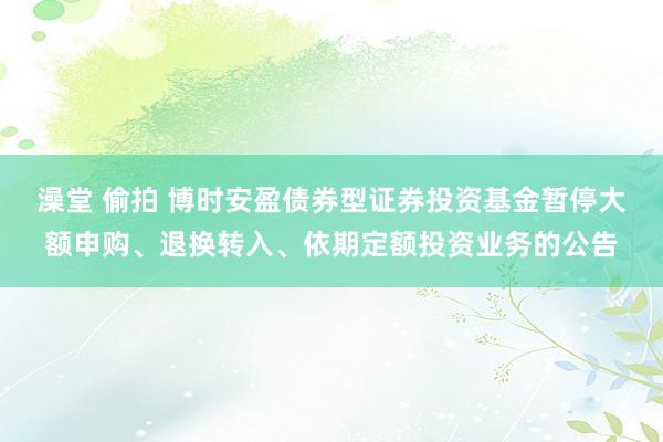 澡堂 偷拍 博时安盈债券型证券投资基金暂停大额申购、退换转入、依期定额投资业务的公告