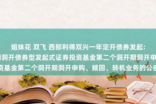 姐妹花 双飞 西部利得双兴一年定开债券发起: 西部利得双兴一年如期洞开债券型发起式证券投资基金第二个洞开期洞开申购、赎回、转机业务的公告