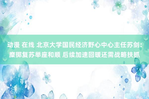 动漫 在线 北京大学国民经济野心中心主任苏剑：糜掷复苏举座和顺 后续加速回暖还需战略扶抓