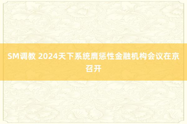 SM调教 2024天下系统膺惩性金融机构会议在京召开