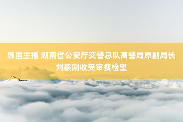 韩国主播 湖南省公安厅交警总队高警局原副局长刘毅刚收受审搜检望