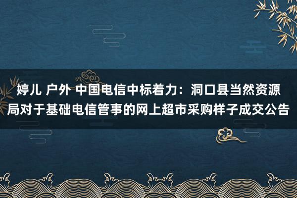 婷儿 户外 中国电信中标着力：洞口县当然资源局对于基础电信管事的网上超市采购样子成交公告