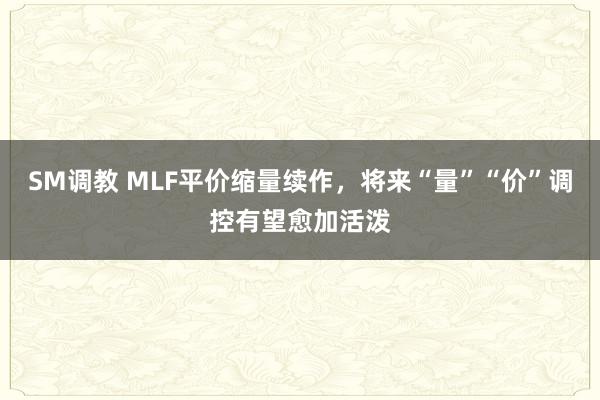 SM调教 MLF平价缩量续作，将来“量”“价”调控有望愈加活泼