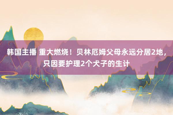 韩国主播 重大燃烧！贝林厄姆父母永远分居2地，只因要护理2个犬子的生计