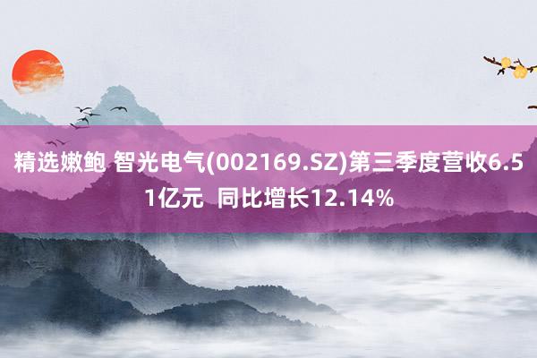 精选嫩鲍 智光电气(002169.SZ)第三季度营收6.51亿元  同比增长12.14%