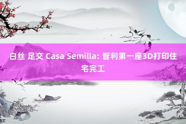 白丝 足交 Casa Semilla: 智利第一座3D打印住宅完工