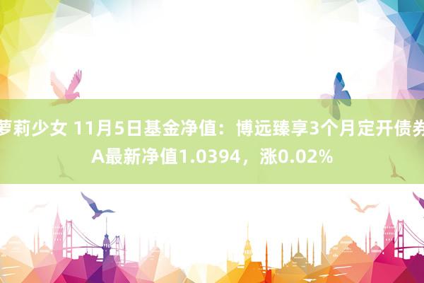 萝莉少女 11月5日基金净值：博远臻享3个月定开债券A最新净值1.0394，涨0.02%