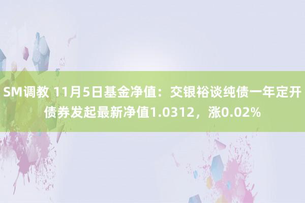 SM调教 11月5日基金净值：交银裕谈纯债一年定开债券发起最新净值1.0312，涨0.02%