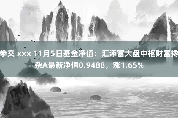 拳交 xxx 11月5日基金净值：汇添富大盘中枢财富搀杂A最新净值0.9488，涨1.65%