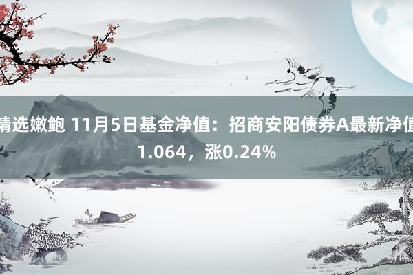 精选嫩鲍 11月5日基金净值：招商安阳债券A最新净值1.064，涨0.24%