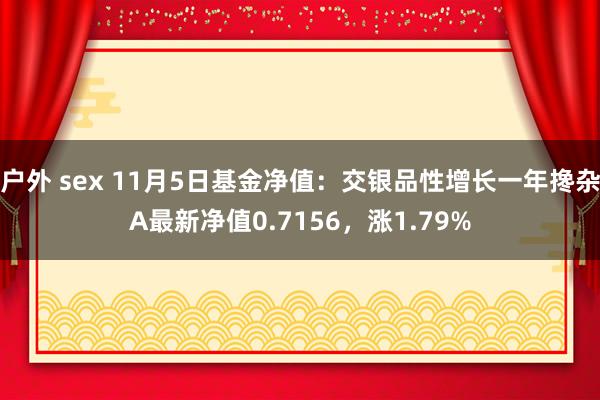 户外 sex 11月5日基金净值：交银品性增长一年搀杂A最新净值0.7156，涨1.79%