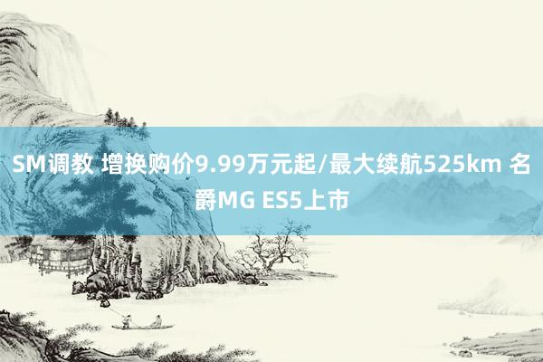 SM调教 增换购价9.99万元起/最大续航525km 名爵MG ES5上市