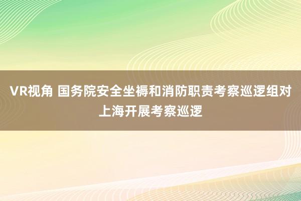 VR视角 国务院安全坐褥和消防职责考察巡逻组对上海开展考察巡逻