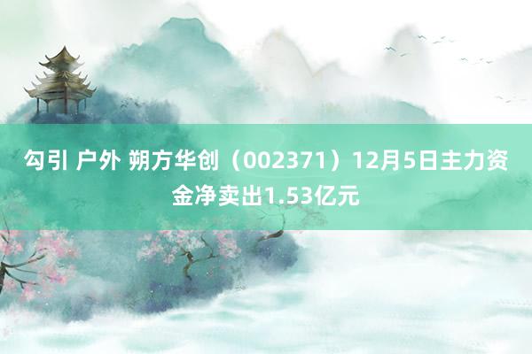 勾引 户外 朔方华创（002371）12月5日主力资金净卖出1.53亿元