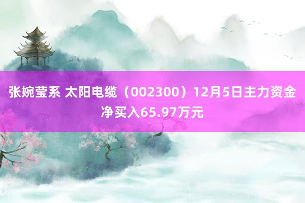 张婉莹系 太阳电缆（002300）12月5日主力资金净买入65.97万元