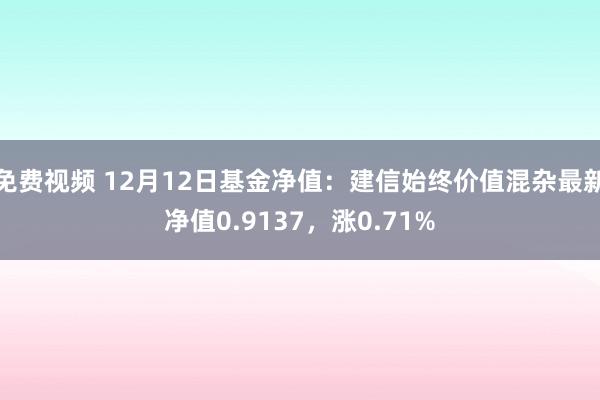 免费视频 12月12日基金净值：建信始终价值混杂最新净值0.9137，涨0.71%