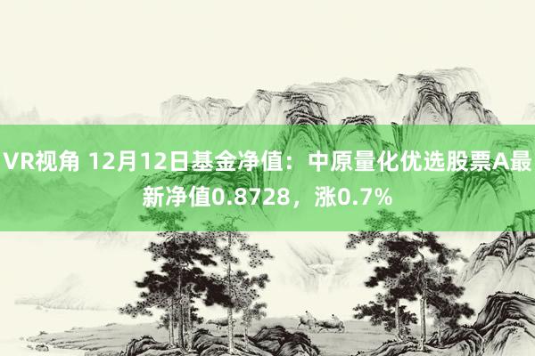 VR视角 12月12日基金净值：中原量化优选股票A最新净值0.8728，涨0.7%