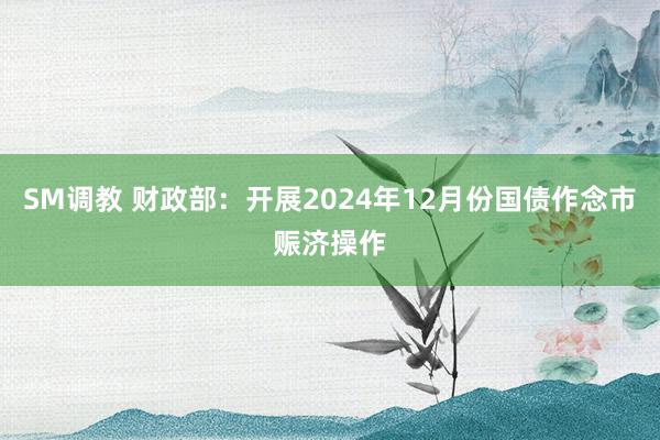 SM调教 财政部：开展2024年12月份国债作念市赈济操作