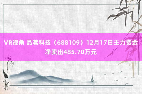 VR视角 品茗科技（688109）12月17日主力资金净卖出485.70万元