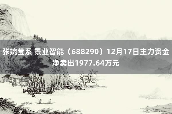 张婉莹系 景业智能（688290）12月17日主力资金净卖出1977.64万元