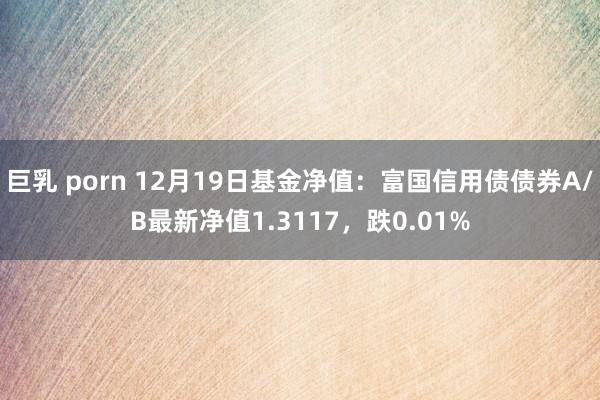 巨乳 porn 12月19日基金净值：富国信用债债券A/B最新净值1.3117，跌0.01%