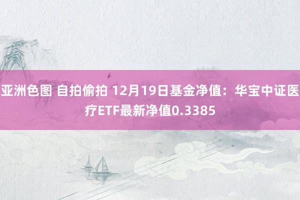 亚洲色图 自拍偷拍 12月19日基金净值：华宝中证医疗ETF最新净值0.3385