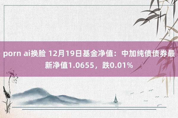 porn ai换脸 12月19日基金净值：中加纯债债券最新净值1.0655，跌0.01%