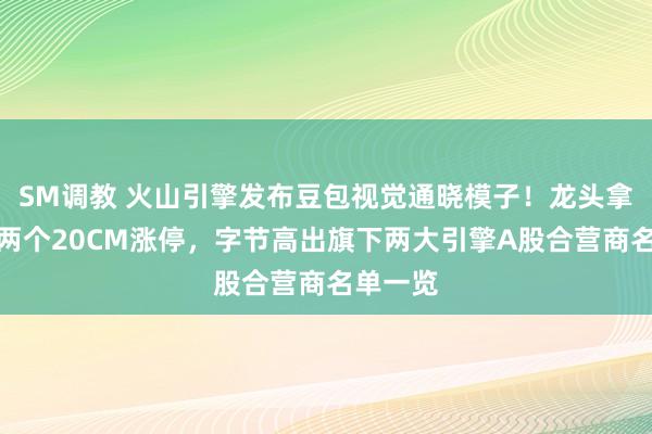 SM调教 火山引擎发布豆包视觉通晓模子！龙头拿卑鄙通两个20CM涨停，字节高出旗下两大引擎A股合营商名单一览