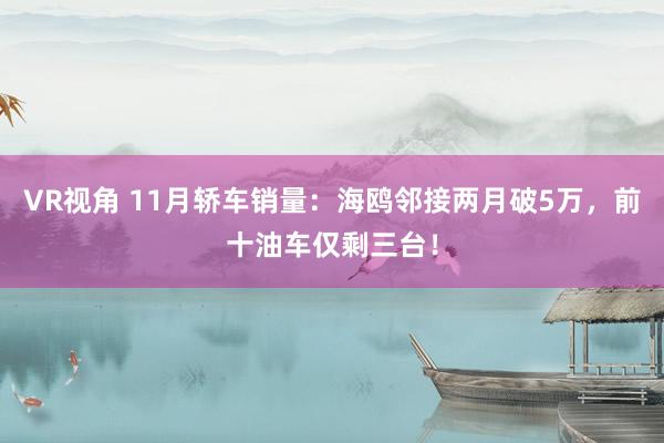 VR视角 11月轿车销量：海鸥邻接两月破5万，前十油车仅剩三台！