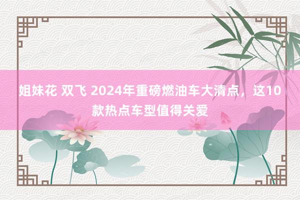 姐妹花 双飞 2024年重磅燃油车大清点，这10款热点车型值得关爱