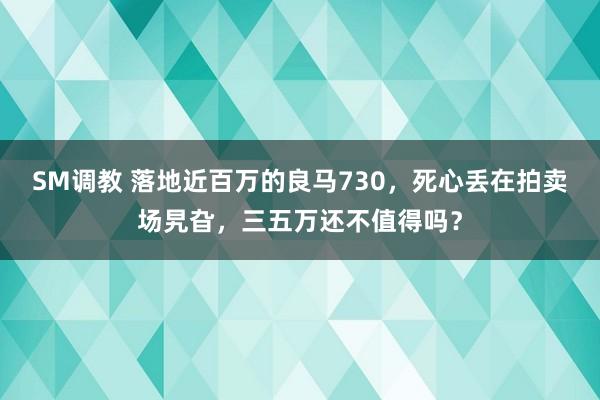 SM调教 落地近百万的良马730，死心丢在拍卖场旯旮，三五万还不值得吗？